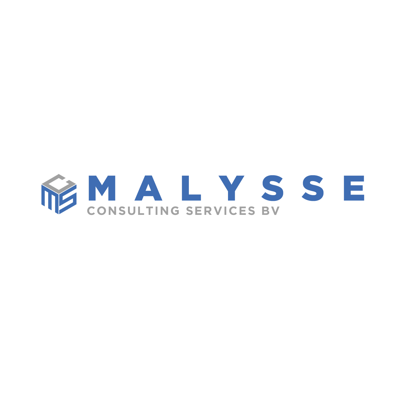 Malysse Consulting Services    